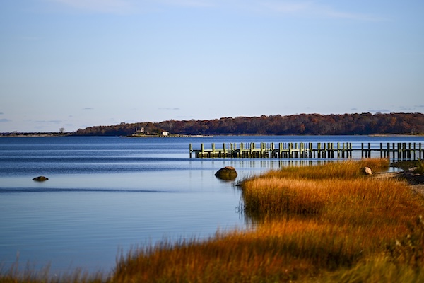 Long Island personal injury Experts